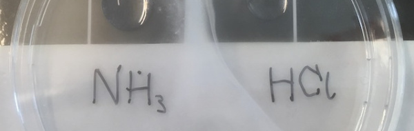 Demonstration: Reaktionen mellan ammoniak och saltsyra