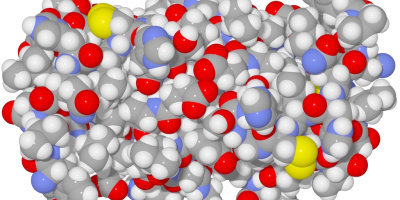 Proteinernas funktion