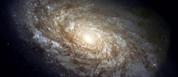 Livet, universum & allting