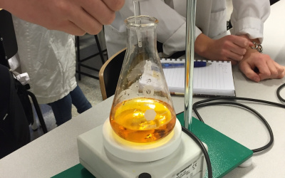 Laborationer och övningar