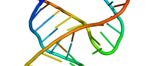 RNA