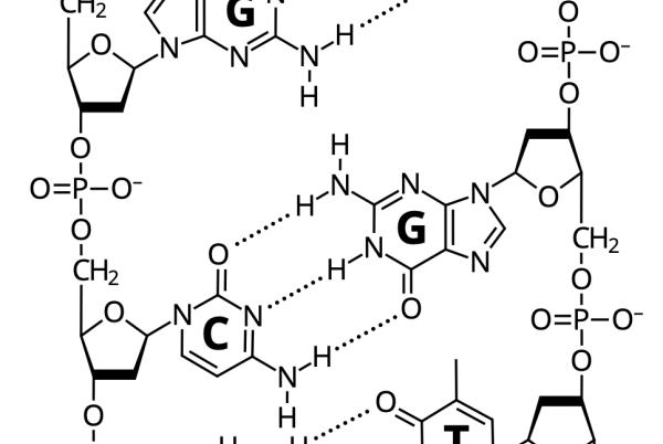 Nukleinsyrornas struktur och kemi