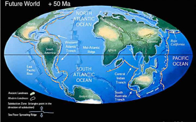 Evolutionär systematik