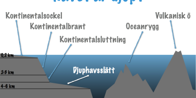 Havet som ekosystem (NkA)