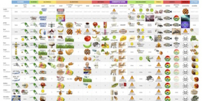 Organiska molekyler och hur de luktar