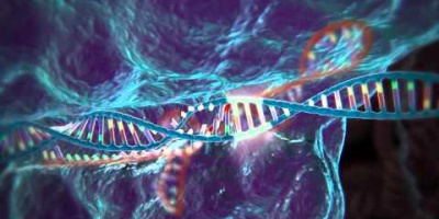 Genredigering med CRISPR-Cas9