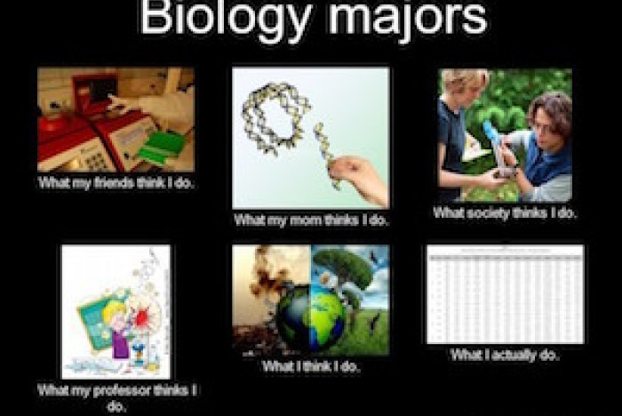 Avd. f. biologiska babblerier del 4: Vad gör en biolog?