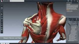 Tips: BioDigital Human – Explore the Human Body in 3D!