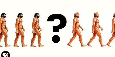 Den första människan? Det fanns ingen 