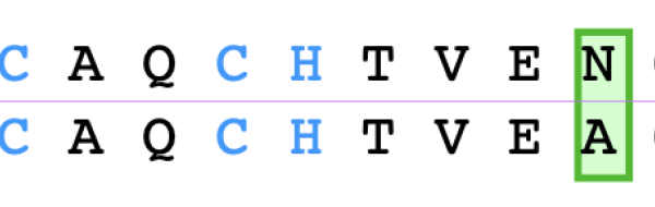 Ett släktträd från Cytokrom C