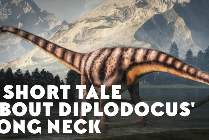 En kort berättelse om Diplodocus långa hals