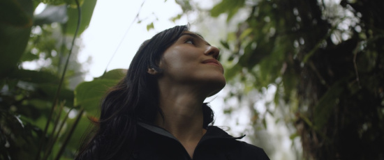 En dag i en vildmarksfotografs liv i Brasiliens atlantiska regnskog