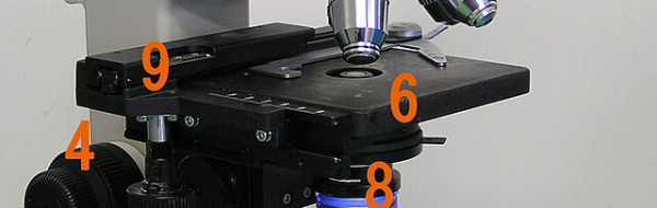 Prov 2009-02-11 i Cellbiologi