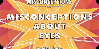 Några vanliga vanföreställningar om synen