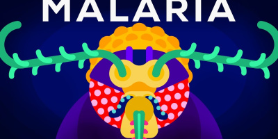 Det senaste vapnet mot malaria