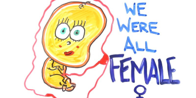 Varför har även män bröstvårtor?