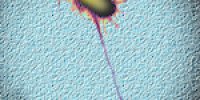 Prov 2009-10-13 i Bioteknik: Grundläggande mikrobiologi