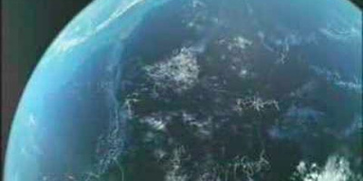 Havssköldpaddans resa