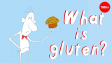Grejen med gluten