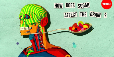 Hur socker påverkar hjärnan