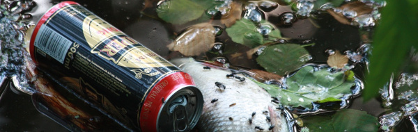 Miljögifter och nedskräpning