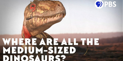 Var är alla medelstora dinosaurier?