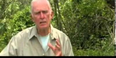 Hur tämjdes vargen och blev hund?