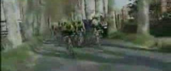 Hästars flockbeteende