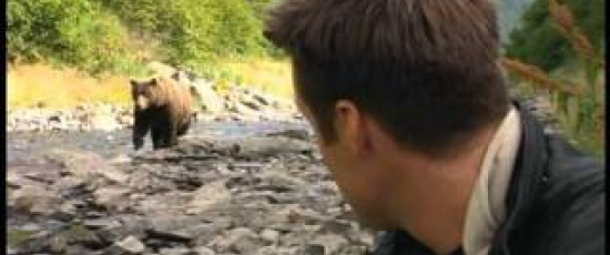 Närkontakt med grizzlybjörnen