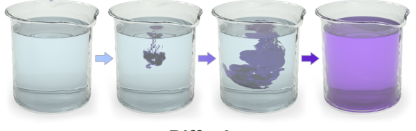 Diffusion och osmos. Transport över membran