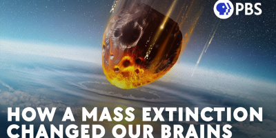 Hur ett massutdöende ändrade våra hjärnor