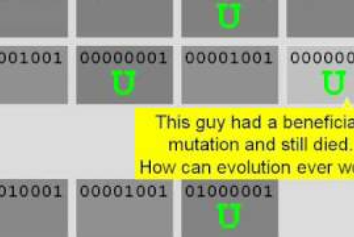 Hur evolutionen fungerar