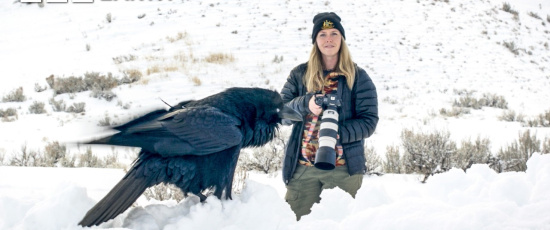 Resa genom Yellowstone: En naturfotografs perspektiv