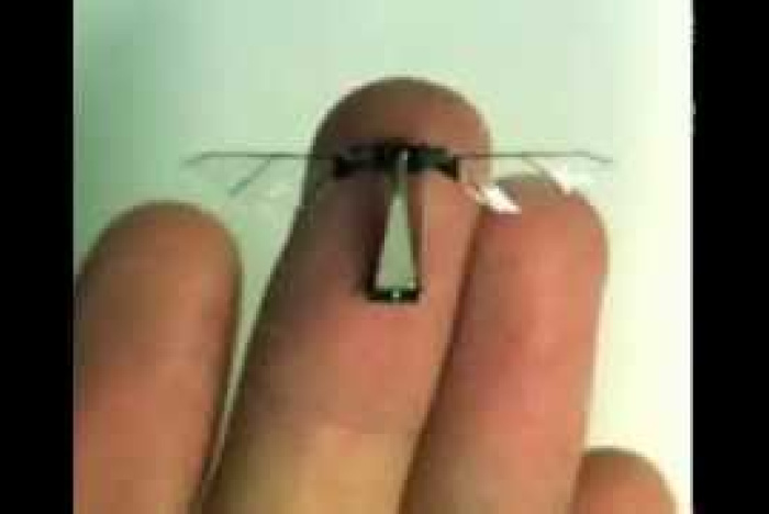Minimal robot-fluga