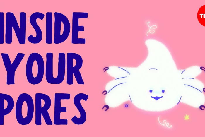 Du kanske skulle bli förvånad över vad du kan hitta i dina porer