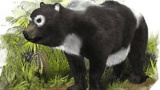 Pandans tidigaste släkting funnen