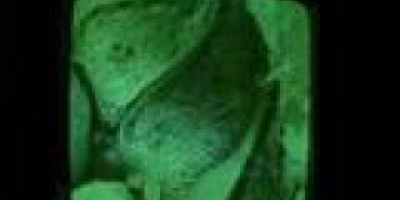 En luftkonditionerad myrstack