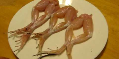 Sprattlande grodlår