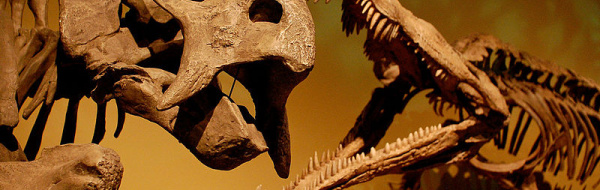 Instuderingsfrågor till Biologi nivå 1: Evolutionsteori och människans evolution