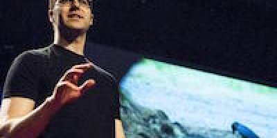 Kråkornas fantastiska intelligens