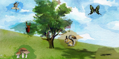 Tips: Evolutionslabbet