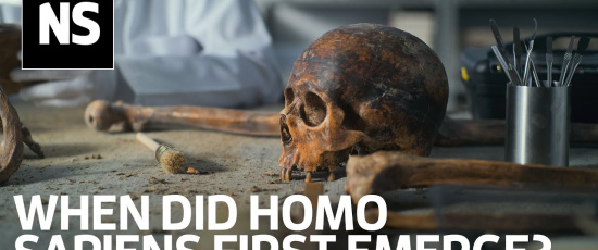 När uppstod Homo sapiens för första gången? Det är en komplex fråga att besvara