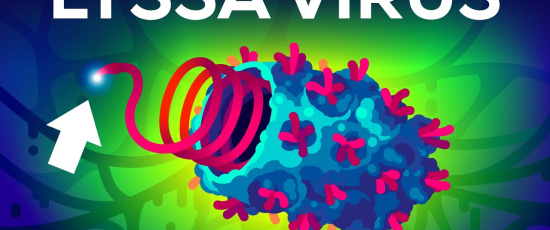 Värsta viruset