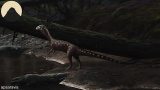 Krokodilernas evolution