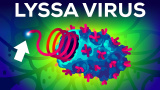 Värsta viruset