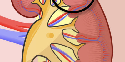 Prov 2023-12-18 i Gasutbyte och cirkulation