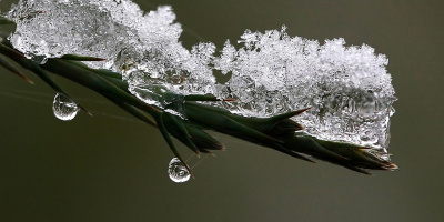 Materia. Aggregationsformer