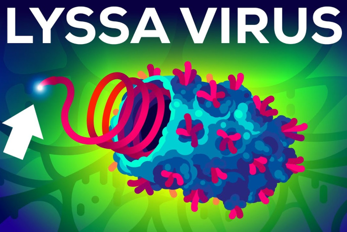 Värsta viruset