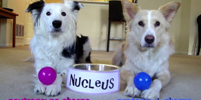 Lär dig om atomen med 