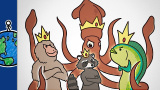 Mellanpredatorns uppgång